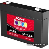 Тяговый аккумулятор RDrive Junior EV6-8.5 (8.5 А·ч) в Бресте