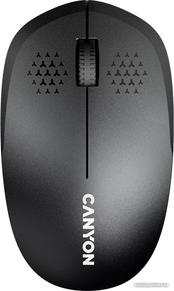 Мышь Canyon MW-04 (черный)