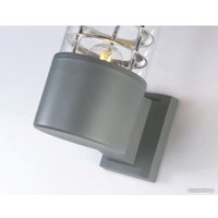 Уличный настенный светильник Ambrella light Garden ST2521