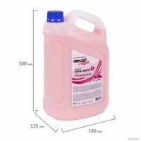  Золотой идеал Мыло жидкое Deluxe Розовый шелк 607498 5 л