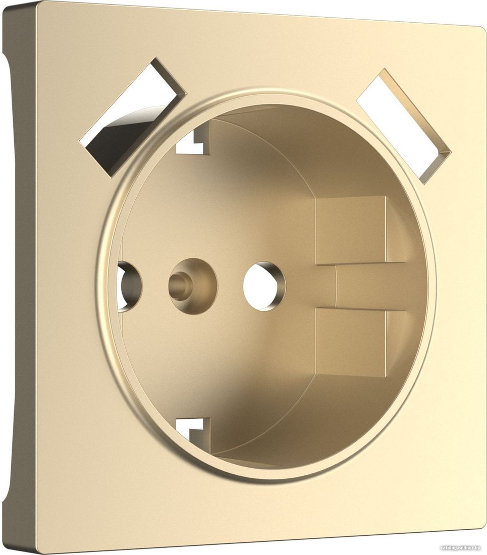 Накладка для розетки Werkel W1179511 a050854