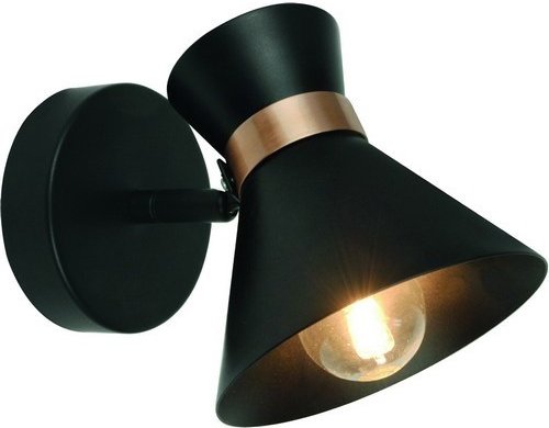 

Точечный светильник Arte Lamp Baltimore A1406AP-1BK