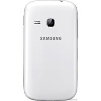 Телефон Samsung Galaxy Young (S6310)