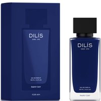 Парфюмерная вода Dilis Parfum Rainy Day EdP (100 мл)