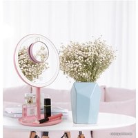 Косметическое зеркало ShineMirror TD-020 (розовый)