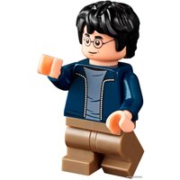 Конструктор LEGO Harry Potter 75947 Хижина Хагрида: спасение Клювокрыла