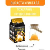 Набор для опытов Bumbaram Кристалл с пожеланием Процветания k6