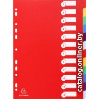 Разделитель документов Exacompta 4912E (ассорти)