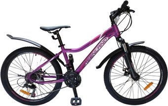 Greenland Formula 24 р.14 2024 (фиолетовый)