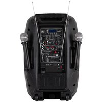 Активная акустика PSSound CAS-2812BT