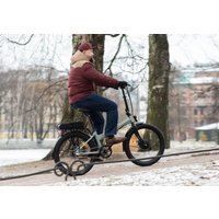 Электровелосипед Shulz E-Easy Fat (светло-серый)