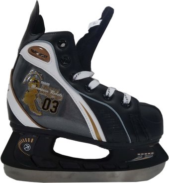 Коньки Vimpex Sport PW-210 C