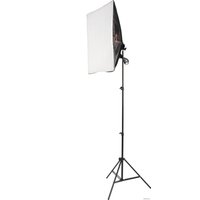 Комплект студийного света Falcon Eyes KeyLight 245LED SB-BG KIT