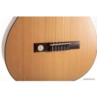 Акустическая гитара Hora CM130 4/4