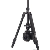 Трипод Raylab Pro 75 (с головой)