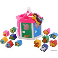 Сортер Полесье Логический домик (в сеточке) в Гомеле