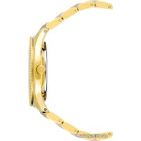 Наручные часы Anne Klein 3214LBGB