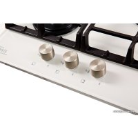 Варочная панель Making Oasis Everywhere P-3GWT (B)