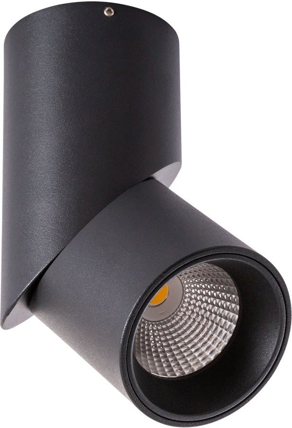 

Спот Arte Lamp Orione A7717PL-1BK