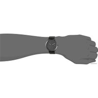 Наручные часы Skagen SKW6308