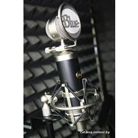 Проводной микрофон Blue Baby bottle