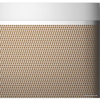 Беспроводная колонка Bang & Olufsen Beolit 20 (серый)