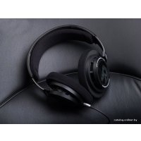 Наушники Philips SHP9500