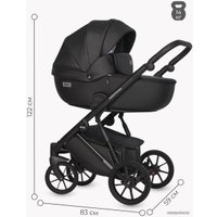 Универсальная коляска Riko Basic Montana Ecco (2 в 1, 12/черный)
