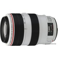 Объектив Canon EF 70-300mm f/4-5.6L IS USM