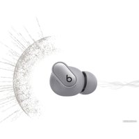 Наушники Beats Studio Buds+ (серебристый)