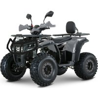 Квадроцикл Yacota Dragon Lux 125 (серый)
