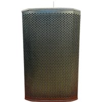 Активная акустика Acury DS12W