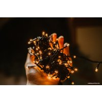Светодиодная гирлянда Огоньки Диод 170 100 LED 10 м (белый теплый)