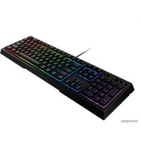 Клавиатура Razer Ornata Chroma