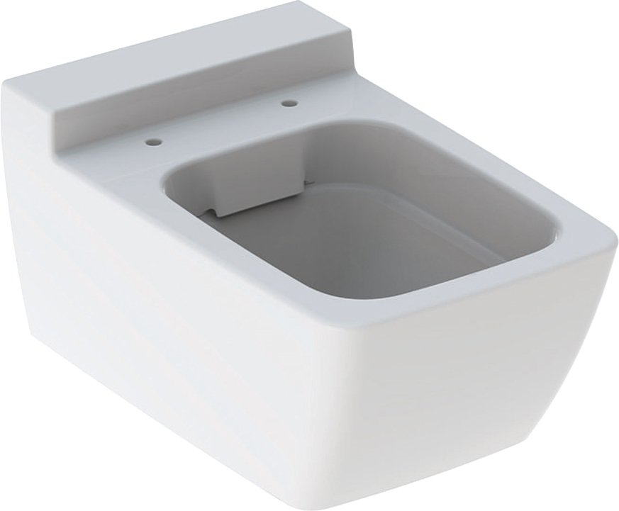 

Унитаз подвесной Geberit Xeno2 Rimfree 500.500.01.1 (без сиденья)