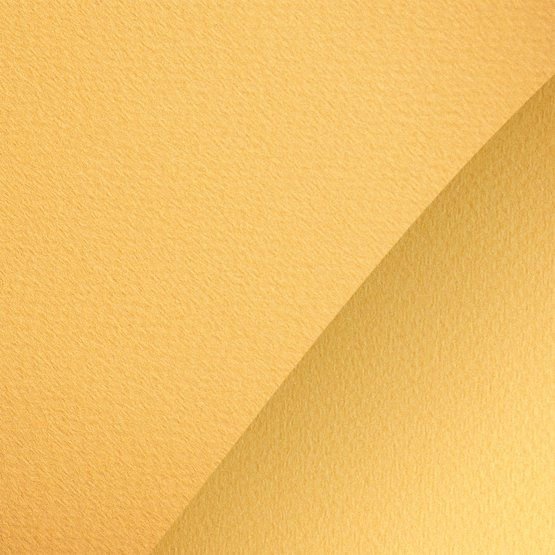 

Бумага для сухих техник Невская палитра Мастер-Класс А4 275452438 (20 л, песочный)