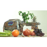 Соковыжималка Angel Juicer Angelia 8500s