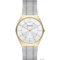 Наручные часы Skagen Grenen SKW6825