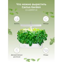 Умный сад CACTUS CS-LEDPOT-10