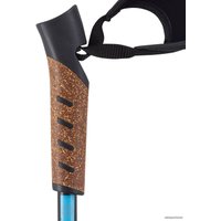 Палки для скандинавской ходьбы Berger Nimbus 77-135 (черный/голубой)