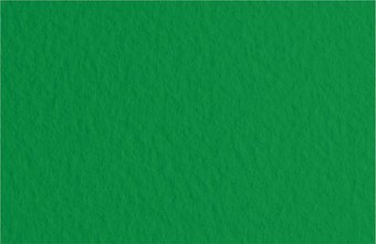 Невская палитра Мастер-Класс А3 275452456 (20 л, зеленый)