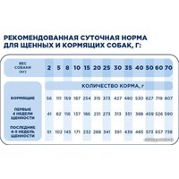 Сухой корм для собак Pet's Brunch Starter для щенков и кормящих с говядиной 4 кг