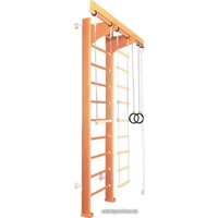 Детский спортивный комплекс Карусель Д222 2Д.02.02 (светлый орех)