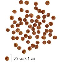 Сухой корм для собак Brit Premium Sensitive Adult Small с ягненком и индейкой 5092970 1 кг