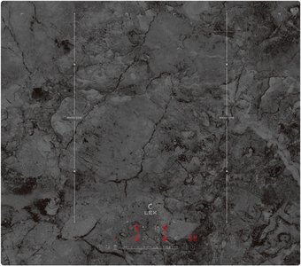 Варочная панель LEX EVI 640 F I DS