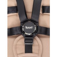 Универсальная коляска Rant Falcon RA097 (2 в 1, бежевый)