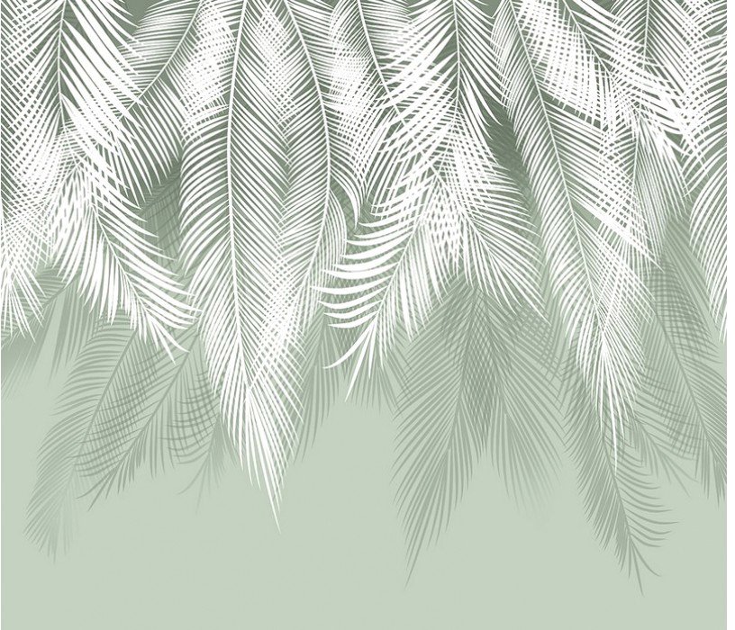 

Фотообои Citydecor Пальмовые листья 300x260 (олива)
