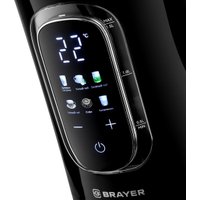 Электрический чайник Brayer BR6101