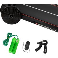 Электрическая беговая дорожка Alpin Reise T-173