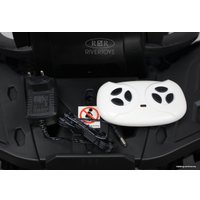 Электроквадроцикл RiverToys H999HH (черный)